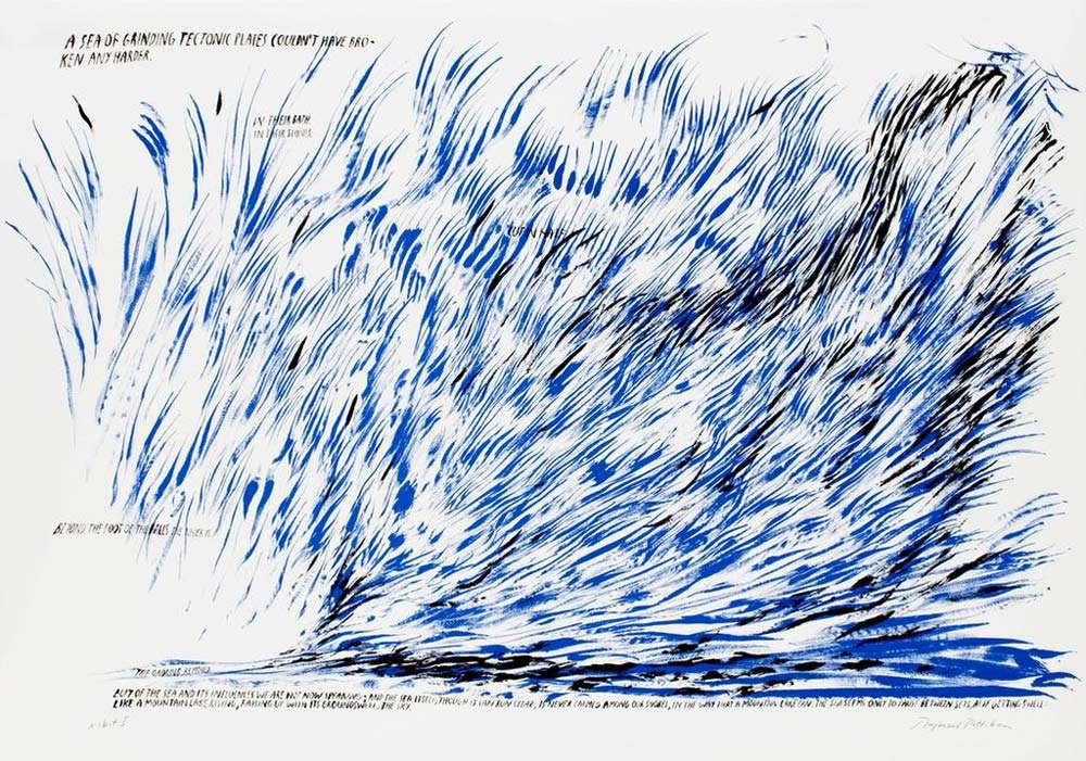 Raymond Pettibon